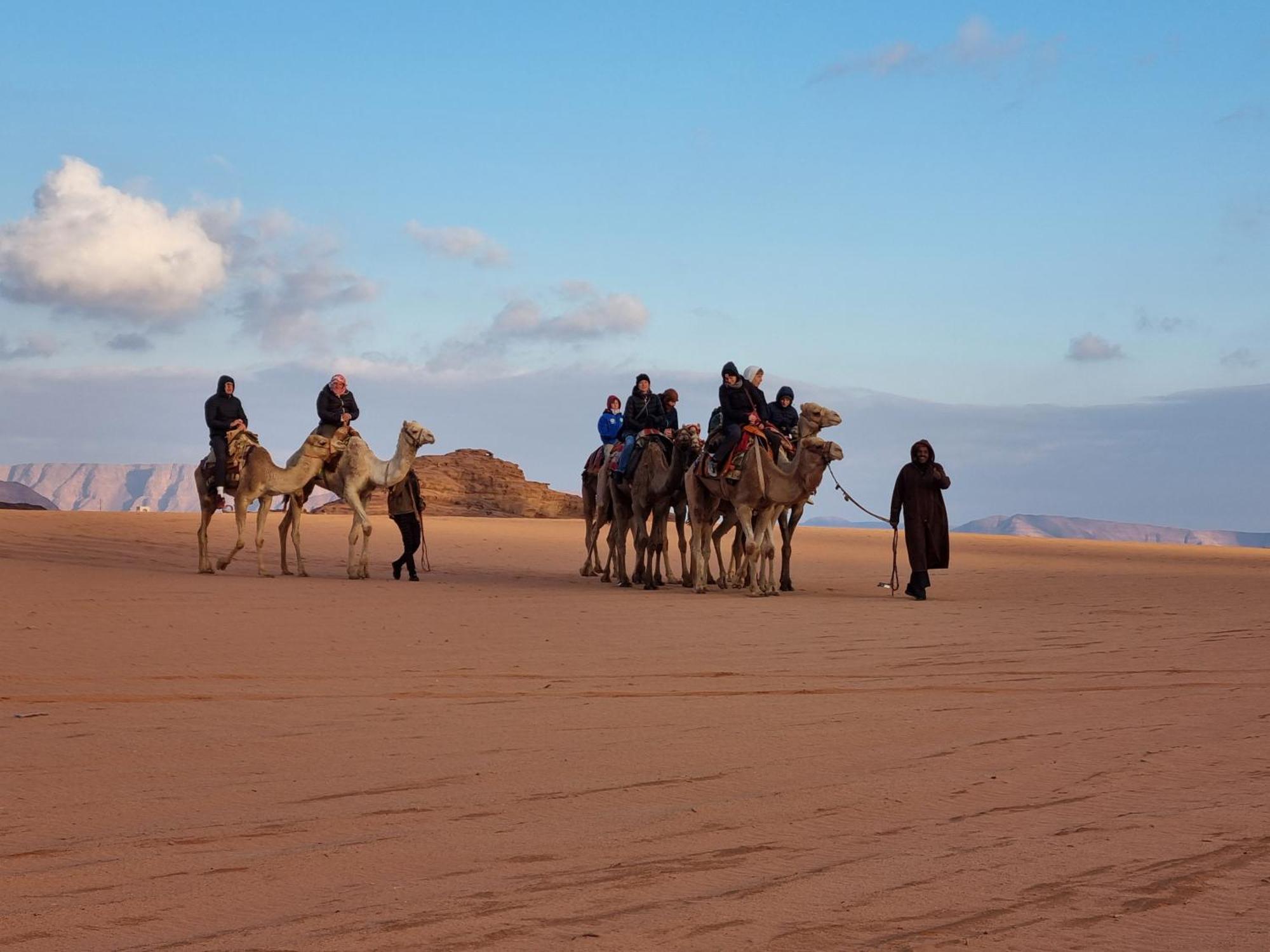 Desert Knights Camp Ξενοδοχείο Ουάντι Ραμ Εξωτερικό φωτογραφία